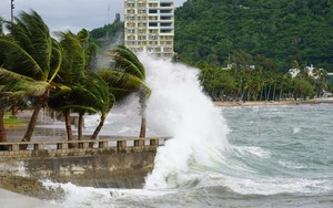 Dự báo thời tiết ngày 9/9: Hoàn lưu bão gây mưa lớn ở vùng núi và trung du Bắc Bộ