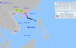 Bão số 7 sẽ suy yếu dần thành áp thấp nhiệt đới trong sáng 8/9