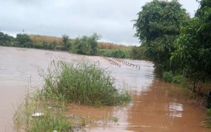 Đắk Lắk, Khánh Hòa và Đà Nẵng đề phòng lũ quét, sạt lở đất