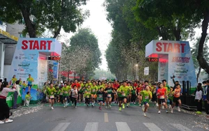 Giải Bán marathon Quốc tế Việt Nam 2026 kết thúc thành công
