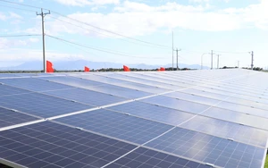 Kinh tế 2025, dự báo 2026: Vượt sóng, đón vận hội mới