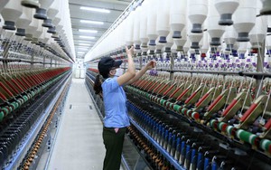 Nghị quyết 79-NQ/TW: Kinh tế nhà nước dẫn dắt tăng trưởng