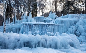 Subzero Forest - Khu rừng băng giá kỳ ảo vùng Hida, Nhật Bản