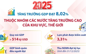 Tăng trưởng GDP đạt 8,02%, Việt Nam thuộc nhóm các nước tăng trưởng cao của thế giới