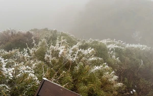 Dự báo thời tiết ngày 12/1: Bắc Bộ rét sâu, vùng núi đề phòng băng giá