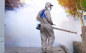 Nguy cơ dịch bệnh kép Sốt xuất huyết và Tay chân miệng đầu năm 2026