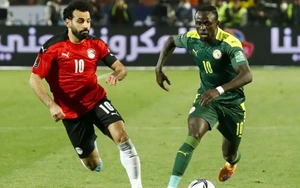 Nhận định, soi tỷ lệ Senegal vs Ai Cập 00h00 ngày 15/01, CAN 2025