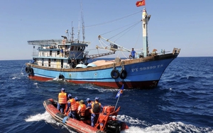 Thủ tướng chỉ đạo lập đoàn kiểm tra chống khai thác hải sản bất hợp pháp, không theo quy định (IUU)