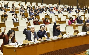 Lấy ý kiến cử tri nơi công tác với 122 người ứng cử ĐBQH chuyên trách ở TƯ