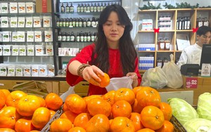 TP. Hồ Chí Minh đa dạng thị trường quà Tết 2026