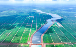 Thaco Agri và chiến lược tự chủ nguồn lực trên đất Đông Dương