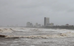 Chuyên gia dự báo bão Nokaen tiếp tục di chuyển và có khả năng mạnh lên