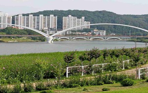 Hàn Quốc: Lần đầu có khu văn hóa ẩm thực thế giới trên cầu đi bộ