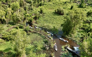 Khám phá rừng tràm đẹp và nổi tiếng nhất Việt Nam