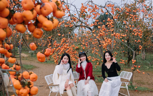 Du lịch Mộc Châu sôi động những ngày đầu năm mới 2026