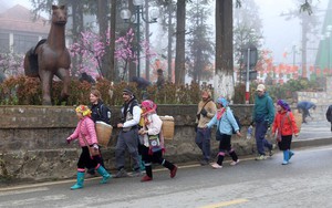 Dự báo thời tiết ngày 3/1: Bắc Bộ trời rét, Trung Bộ mưa dông cục bộ