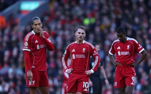 TRỰC TIẾP bóng đá Fulham vs Liverpool 22h00 hôm nay, Ngoại hạng Anh vòng 20