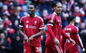 Nhận định, soi tỷ lệ Marseille vs Liverpool 03h00 ngày 22/1, vòng phân hạng C1 châu Âu