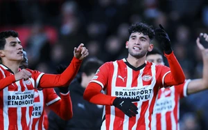 Nhận định, soi tỷ lệ Newcastle vs PSV 03h00 ngày 22/1, vòng phân hạng C1 châu Âu