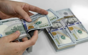 Tỷ giá hôm nay 22/1: Giá USD và NDT điều chỉnh nhẹ