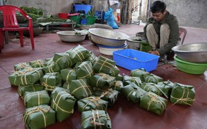 Hải Phòng: Tết về sớm ở làng bánh chưng Thủy Đường