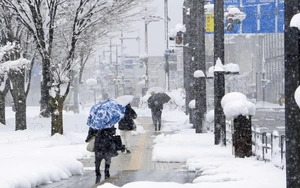 Nhật Bản: Tuyết rơi kỷ lục gây tê liệt giao thông, ít nhất 4 người thiệt mạng