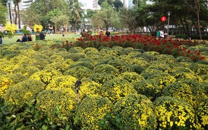 TP. Hồ Chí Minh đưa công viên Võ Văn Tần vào phục vụ người dân