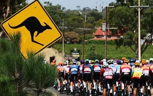 Sự cố hy hữu làng đua xe khi 'khán giả đặc biệt' khiến các tay đua bị nạn