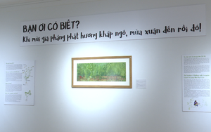 "A, Xuân đây rồi!" - Không gian xuân bước ra từ trang sách