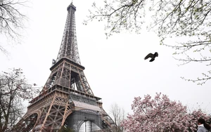 Thành phố Paris vinh danh các nhà khoa học nữ tại Tháp Eiffel