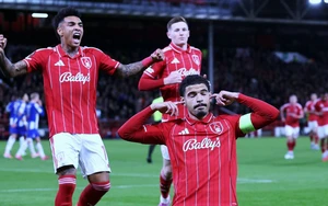Nhận định, soi tỷ lệ Nottingham Forest vs Ferencvaros 3h00 ngày 30/1, vòng phân hạng C2 châu Âu