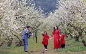 Tết Nguyên đán Bính Ngọ 2026 - tín hiệu tích cực, tạo tăng trưởng du lịch năm 2026