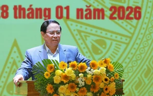 Thủ tướng Phạm Minh Chính: Hội nghị APEC 2027 nâng tầm vai trò quốc tế của Việt Nam trong kỷ nguyên mới