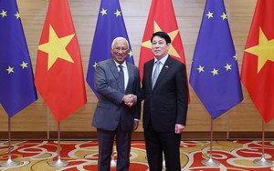 Chủ tịch nước chủ trì chiêu đãi trọng thể Chủ tịch Hội đồng châu Âu