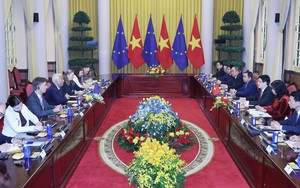 Chủ tịch nước và Chủ tịch Hội đồng châu Âu hội đàm