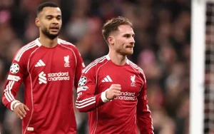 Nhận định, soi tỷ lệ Liverpool vs Newcastle 03h00 ngày 01/02, Ngoại hạng Anh