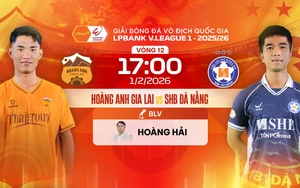 Link xem trực tiếp bóng đá HAGL vs Đà Nẵng 17h00 hôm nay, V-League vòng 12