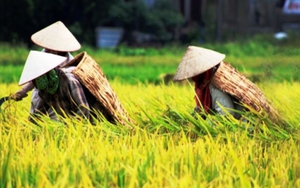 Chữ và nghĩa: Già cũng có ba, bảy kiểu già