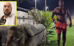 Cựu vô địch thế giới dắt sư tử đi dạo, gửi lời thách đấu tới võ sĩ "vua giang hồ''