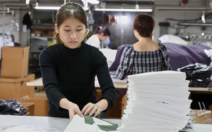 Tiến hành Tổng điều tra kinh tế năm 2026 trên toàn quốc