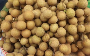 Nhãn lồng Hưng Yên, lươn Nghệ An thành di sản văn hóa phi vật thể quốc gia