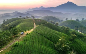 Vì một miền quê đáng sống: Ngút ngàn đồi chè Long Cốc