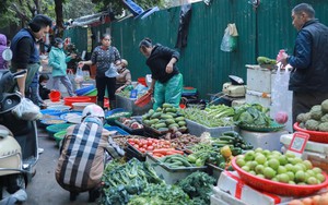 Hà Nội triển khai kế hoạch xử lý dứt điểm "chợ cóc" trong năm 2026