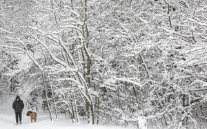 Châu Âu chật vật trong băng tuyết, ít nhất 8 người thiệt mạng