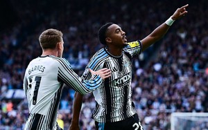 Nhận định bóng đá hôm nay 12/10: Coventry vs Newcastle, Torino vs Udinese
