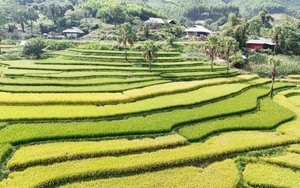 Thái Nguyên: Mùa vàng trên Bản Tèn