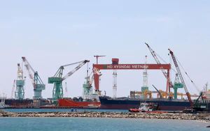 HVS - 30 năm vươn ra biển lớn