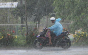 Mưa to cục bộ trên đất liền và gió giật mạnh trên nhiều vùng biển