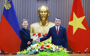 Việt Nam - Liechtenstein thúc đẩy hợp tác, khai thác cơ hội từ các hiệp định mới