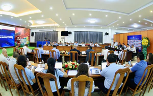 Bóng đá Việt Nam phát huy tối đa nội lực